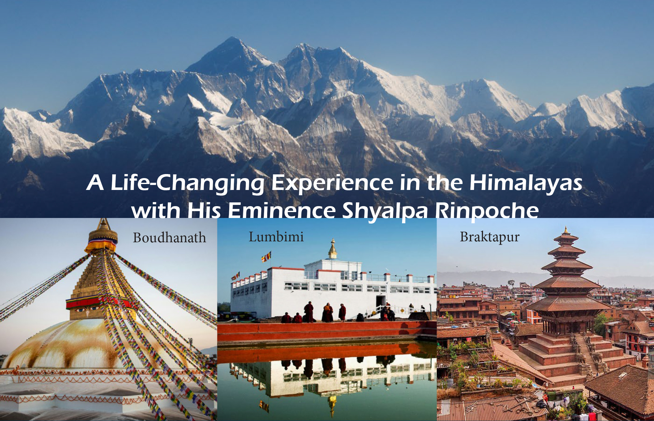 A Life-Changing Experience in the Himalayas with His Eminence Shyalpa Rinpoche